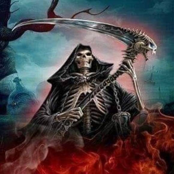 Meet your Posher, James - Picture 1 of 1